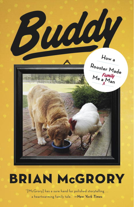 Brian McGrory/Buddy@ How a Rooster Made Me a Family Man